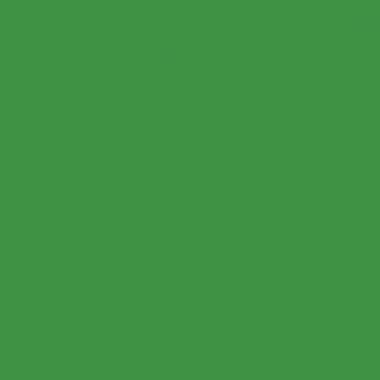 Giotto - Flacon de 1L de gouache liquide GIOTTO, coloris vert foncé - F533412