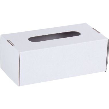 Lot de 10 boîtes à mouchoirs en carton blanc