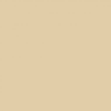 Fast - Boite de 100 relieurs d'archives / fasteneur beige 8cm - 100725515