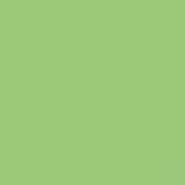 Rouleau de carton ondulé 2m x 0,70 cm couleur vert pré