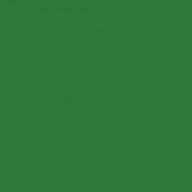Crayon de couleur Woody vert foncé