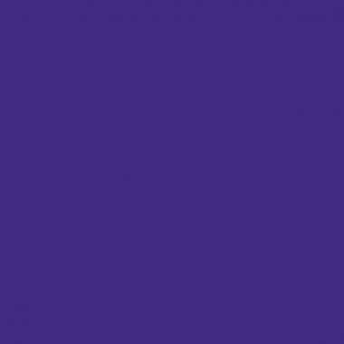 Boîte de 12 feutres Visacolor XL violet