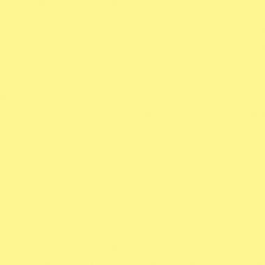 Paquet de 25 feuilles CARTOLINE 50x65cm jaune