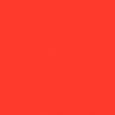 Paquet de 25 feuilles CARTOLINE 50x65cm rouge