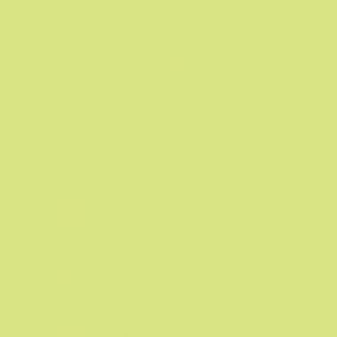 Paquet de 25 feuilles CARTOLINE 50x65cm vert clair