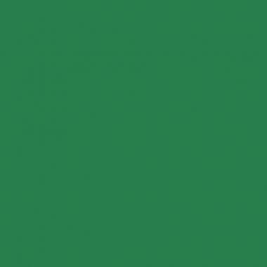 Paquet de 25 feuilles CARTOLINE 50x65cm vert foncé