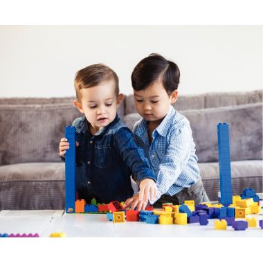 Carton de 500 briques de construction BIOBUDDI BIG
