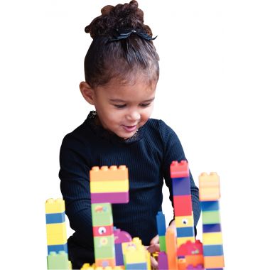 Carton de 500 briques de construction BIOBUDDI BIG