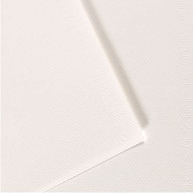 Paquet de 10 feuilles mi-teinte format 50x65cm  blanc