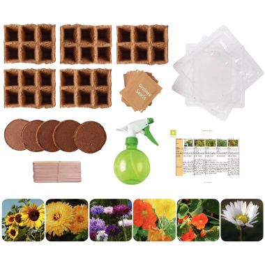 Carton de 30 sachets de graines de fleurs