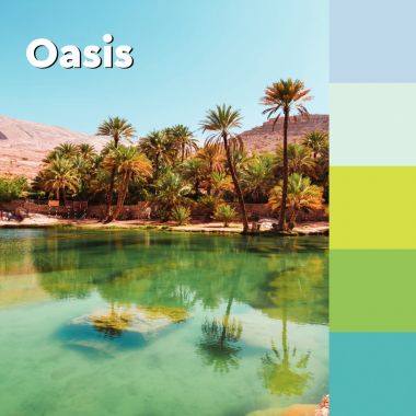 Lot de 5 blocs z-notes super sticky post-it 90 feuilles 76 x 76 mm collection OASIS