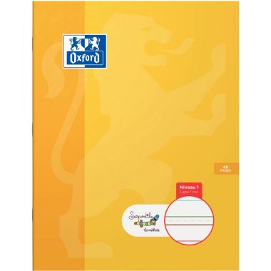 Cahier DYS format 17x22 cm, 48 pages interligne 7 mm
