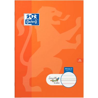 Cahier DYS format A4, 48 pages interligne 5 mm