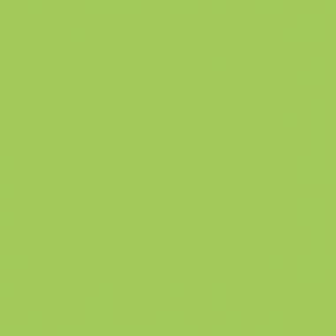 Protège-documents COLOR FRESH 40 vues, vert clair