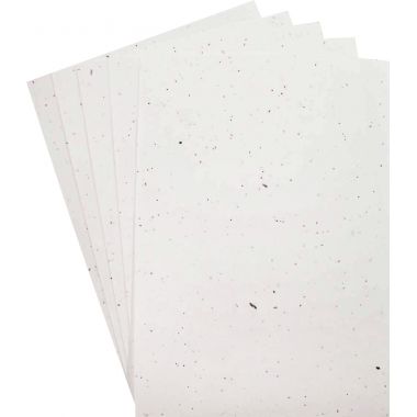 Paquet de 5 feuilles ensemencées format A4