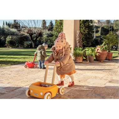 Chariot de marche ROBERTO
