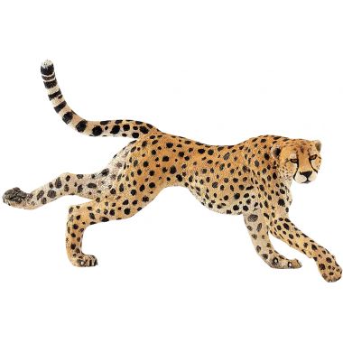 Lot de 11 figurines d'animaux sauvages PAPO