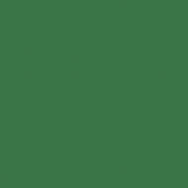 Paquet de 10 feuilles CARTA 50x65cm 270g vert foncé