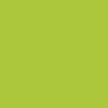 Paquet de 10 feuilles CARTA 50x65cm 270g vert clair