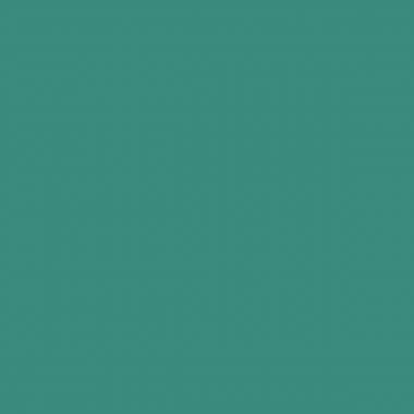 Flacon 1L de gouache concentrée MAJUSCULE, coloris vert émeraude