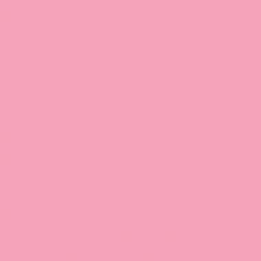 Lot de 6 Flacons 250ml de gouache nacrée MAJUSCULE, coloris assortis