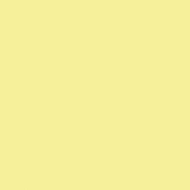 Lot de 6 Flacons 250ml de gouache nacrée MAJUSCULE, coloris assortis
