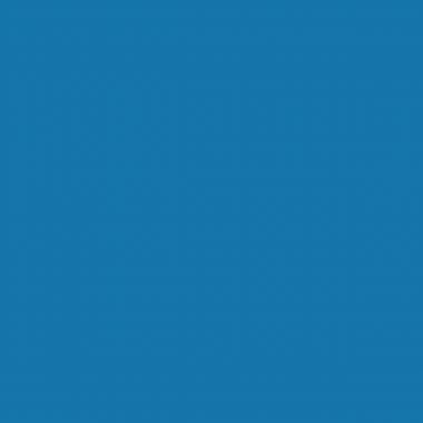 Carton de 6 Flacons de 1 Litre de gouache liquide. 1 bleu, 1 rouge, 1 jaune, 1 noir, 2 blancs
