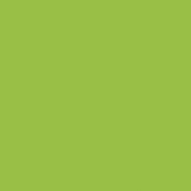 Tapis ultra soft 70x95cm vert