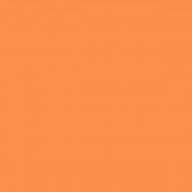 Coussin diamètre 40x10cm orange