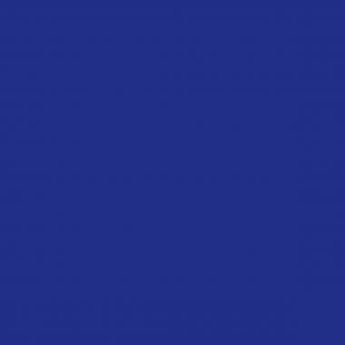 Lot de 10 Flacons 150 ml de gouache liquide ultra lavable Primacolor