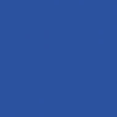 Lot de 10 Flacons 150 ml de gouache liquide ultra lavable Primacolor