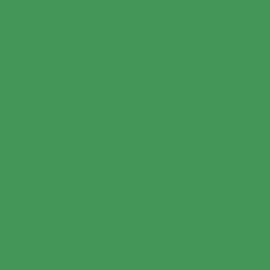 Lot de 10 Flacons 150 ml de gouache liquide ultra lavable Primacolor