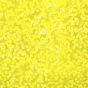 Carton de 6 Flacons 500 ml de peinture pailletée vive