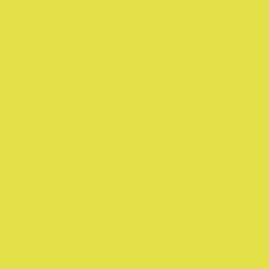 Boîte de 6 flacons de 250 ml de peinture acrylique brillante, couleurs fluo assorties