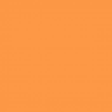 Boîte de 6 flacons de 250 ml de peinture acrylique brillante, couleurs fluo assorties