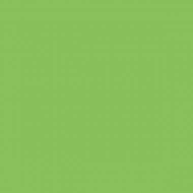 Boîte de 6 flacons de 250 ml de peinture acrylique brillante, couleurs fluo assorties