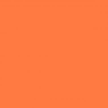 Lot de 6 flacons 250 ml de peinture acrylique MAJUSCULE, couleurs tendances