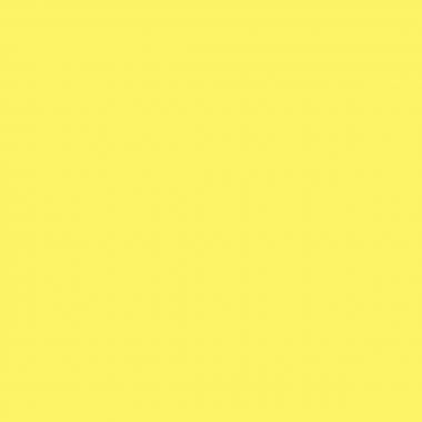 Lot de 6 flacons 250 ml de peinture acrylique MAJUSCULE, couleurs tendances