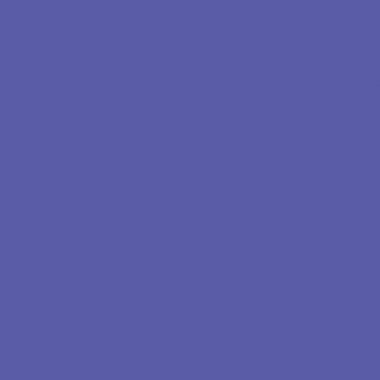 Boîte de 10 flacons de 250 ml de peinture acrylique métallique. 10 assortis