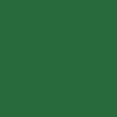 Flacon 500ml d'acrylique Glossy Lefranc Bourgeois, vert brillant