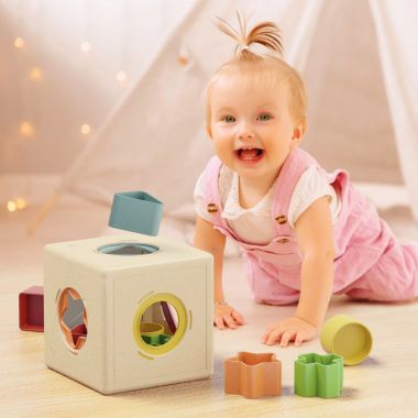 Cube des formes PLAYBIO