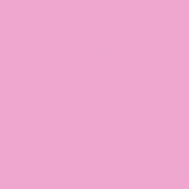 Piqûre 48 pages MAJUSCULE, format A4, papier blanc 90g, seyès, couverture polypropylène rose