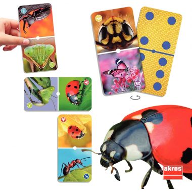 Natudomino les insectes