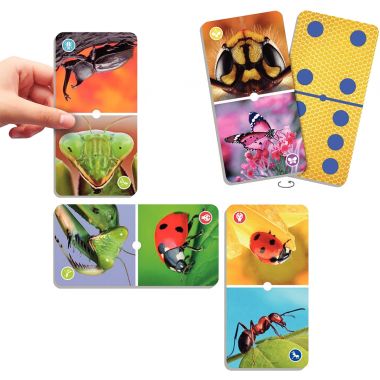 Natudomino les insectes