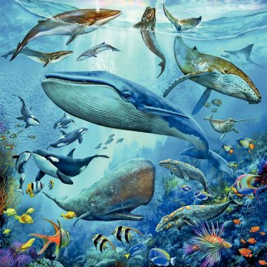 Lot de 3 puzzles 49 pièces en carton, le monde animal de l'océan