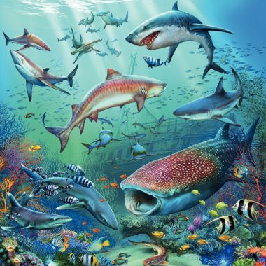 Lot de 3 puzzles 49 pièces en carton, le monde animal de l'océan