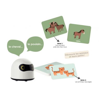 Robot interactif 4 langues