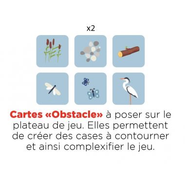 Codage grenouille niveau 1