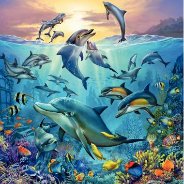 Lot de 3 puzzles 49 pièces en carton, le monde animal de l'océan