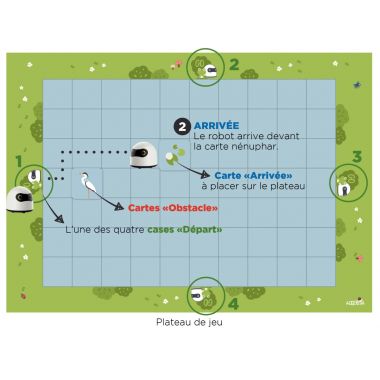 Codage grenouille niveau 1